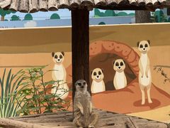 -石家庄市动物园