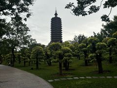 -西海子公园