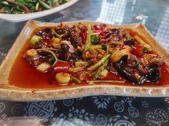 -青城甲(青城山店)