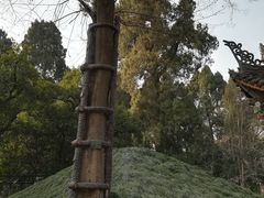 -武侯墓风景区