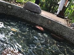 -三亚珠江南田温泉度假区