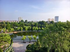 -莱西月湖公园