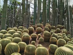 -南山植物园