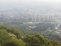 -杭州半山国家森林公园