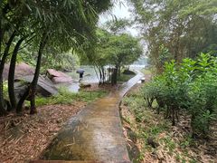 -广州白江湖森林公园