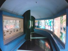 -上海昆虫博物馆