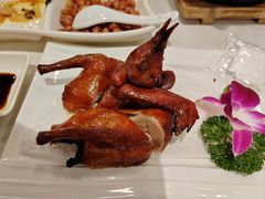 -顺德佬华侨城店·商务宴请·团建