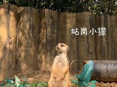 -青岛森林野生动物世界