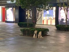 -喜茶(北京三里屯太古里店)