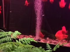 -大唐盲人按摩中心(黄山路店)