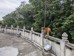 -苏州上方山国家森林公园