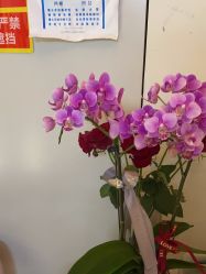 -苑苑vbeauty科技美容SPA