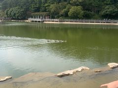 -广州市帽峰山景区