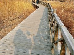 -野鸭湖国家湿地公园