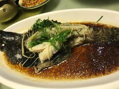 清蒸龙胆斑-鑫悦楼煎蟹·16年海鲜大排档