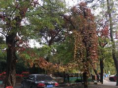 -丽泽山庄·生态怀柔菜·虹鳟鱼(红螺寺店)