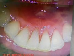 -新达口腔(华东理工大学店)