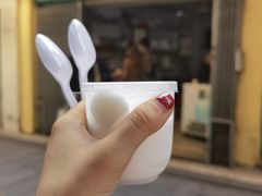 -洪馨椰子
