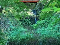 -三千院