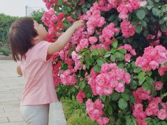 -凯德广场(金牛店)