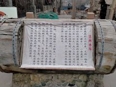 -水车博览园