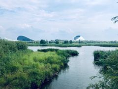 -哈尔滨大剧院