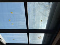 -VOYAGE COFFEE(北锣鼓巷店)