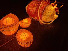 -武汉园博园(武汉自然博物馆)