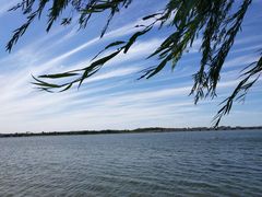 -丁香湖公园