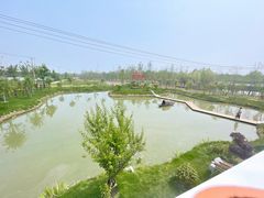 -大队长大灶鹅