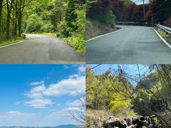 -四明山国家森林公园
