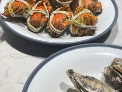 -杨氏青龙虾·羊蝎子(托乐嘉店)
