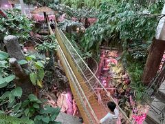 -正佳雨林生态植物园
