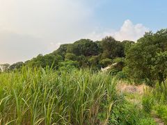 -上海市保健医疗中心