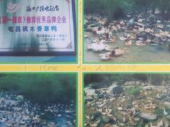 -霞姐屯昌枫木香草鸭店(海螺店)