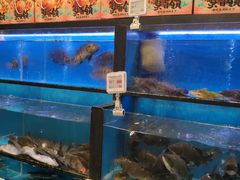 水产区-盒马鲜生(宝地店)