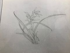 作品-谷隆画舍·国画书法素描彩铅水彩
