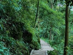 -青城山
