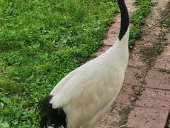 -哈尔滨北方森林动物园