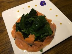 -百好乐宠物友好餐厅(朝外大街店)