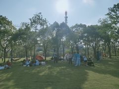 -南汇嘴观海公园