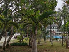 -中国科学院西双版纳热带植物园