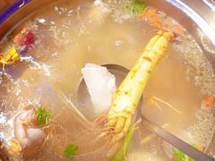 鲜人参锅底-千岛蚝高压锅生蚝·人参火锅(白云万达店)