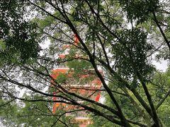 -鹅岭公园瞰胜楼