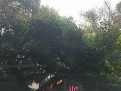 -古真记钵钵鸡(总店)