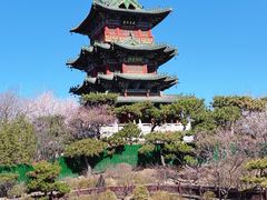 -迎泽公园