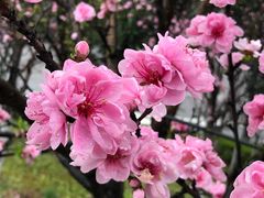 -重庆彩云湖湿地公园