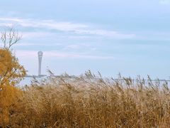 -上海吴淞炮台湾国家湿地公园