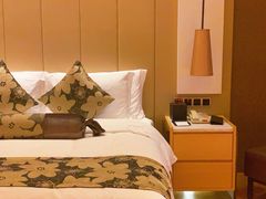 -深圳温德姆至尊酒店