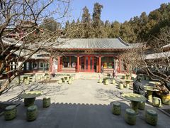 -宫事颐庭·老佛爷贵寿下午茶(颐和园店)